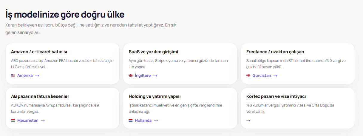 E-ticaret, yazılım, danışmanlık ve yatırım modellerine göre ülke seçimi örnekleri